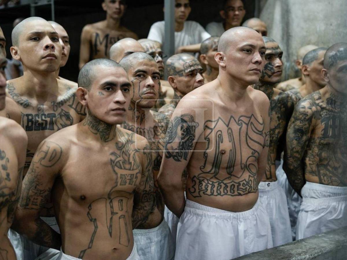 Barrio 18 y MS-13 conviven en la misma celda: las medidas del Cecot que el CN busca replicar en Honduras