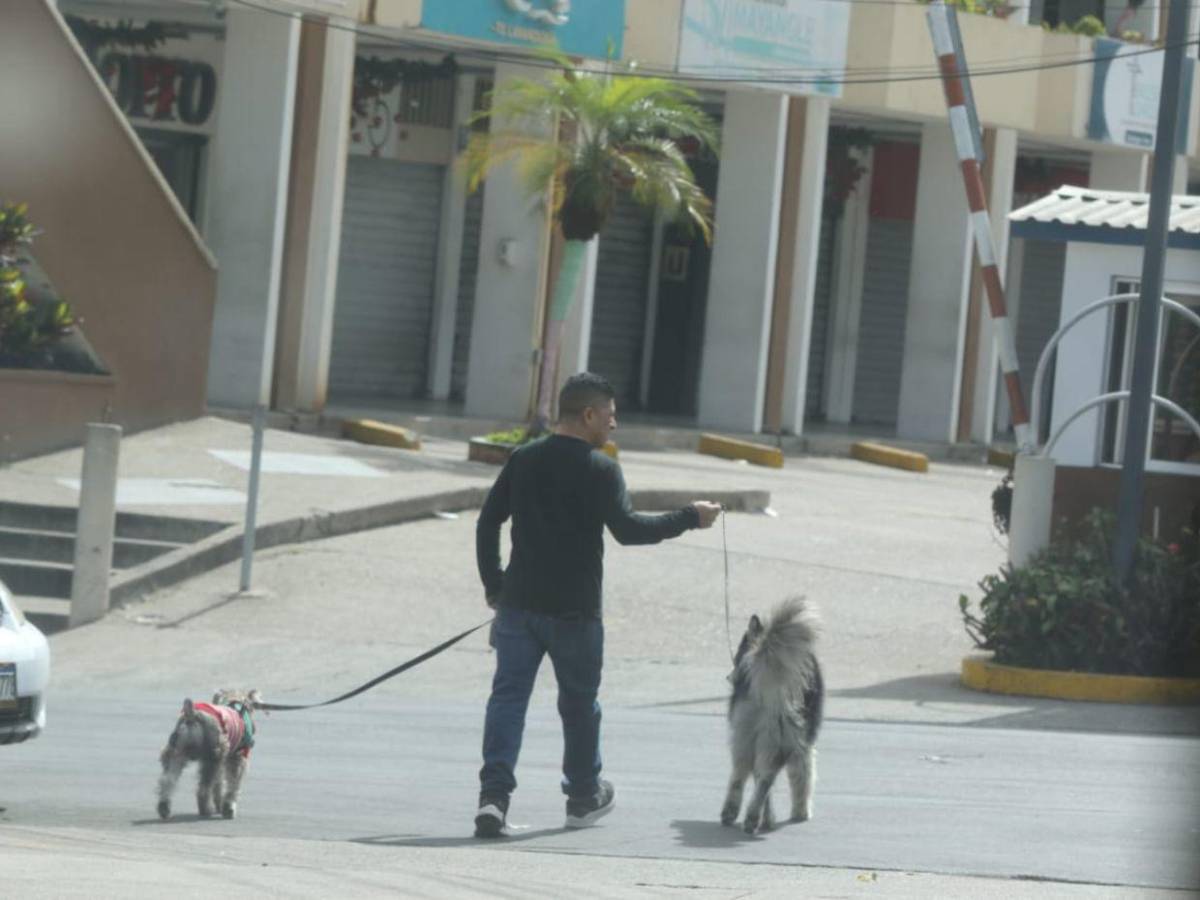 Bulevares libres y negocios cerrados: así amanece la capital este 1 de enero