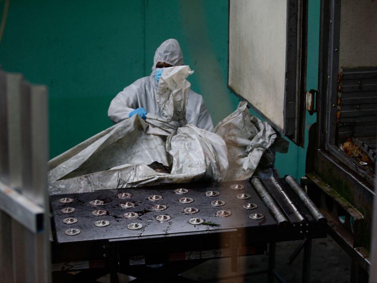 Medicina Forense ha identificado a 28 de las 46 víctimas de matanza en PNFAS