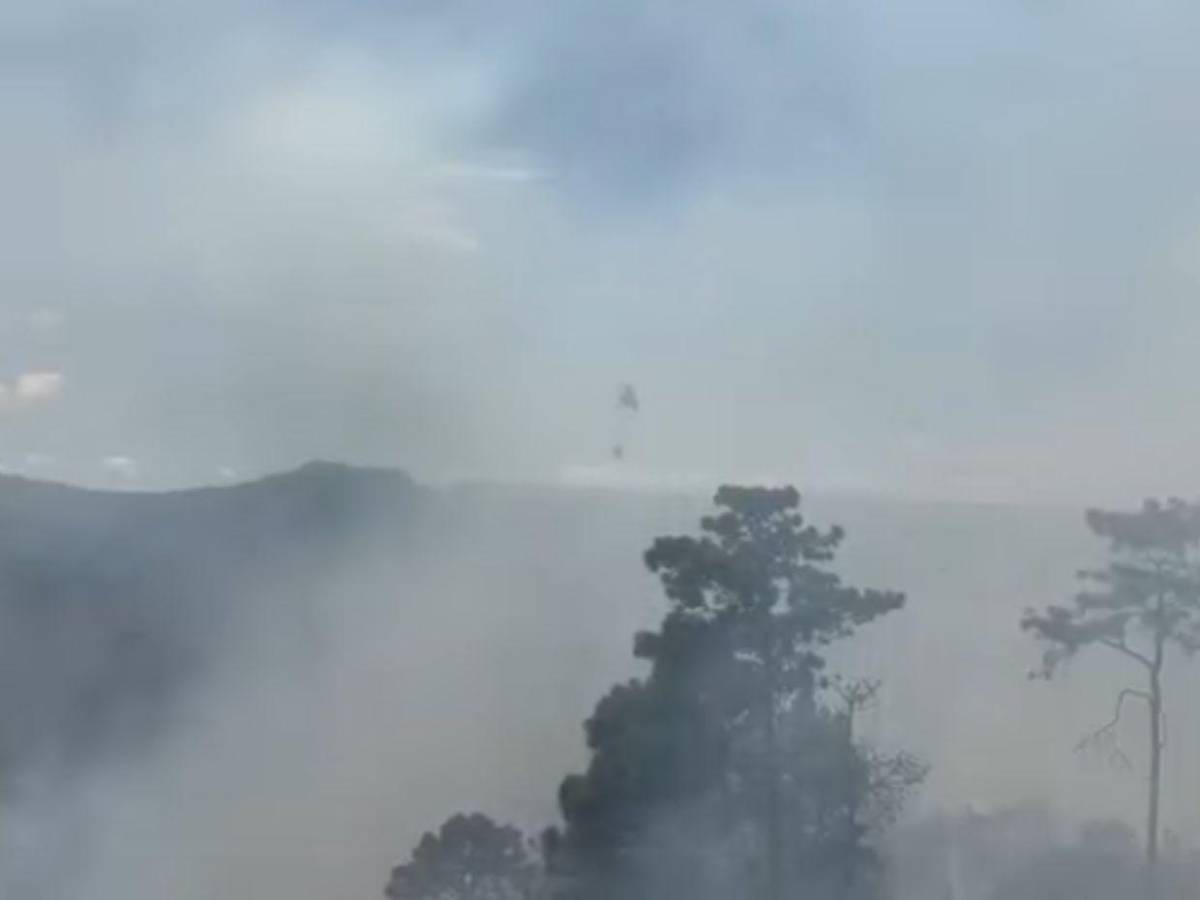 Voraz incendio en El Hatillo y zonas aledañas amenaza el pulmón de la capital