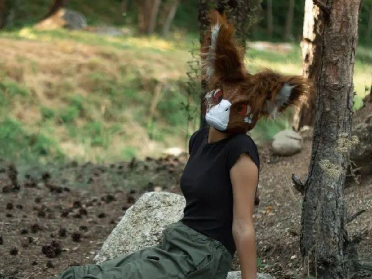 “Lo tuve que dormir”: veterinario revela su experiencia tratando a un paciente Therian