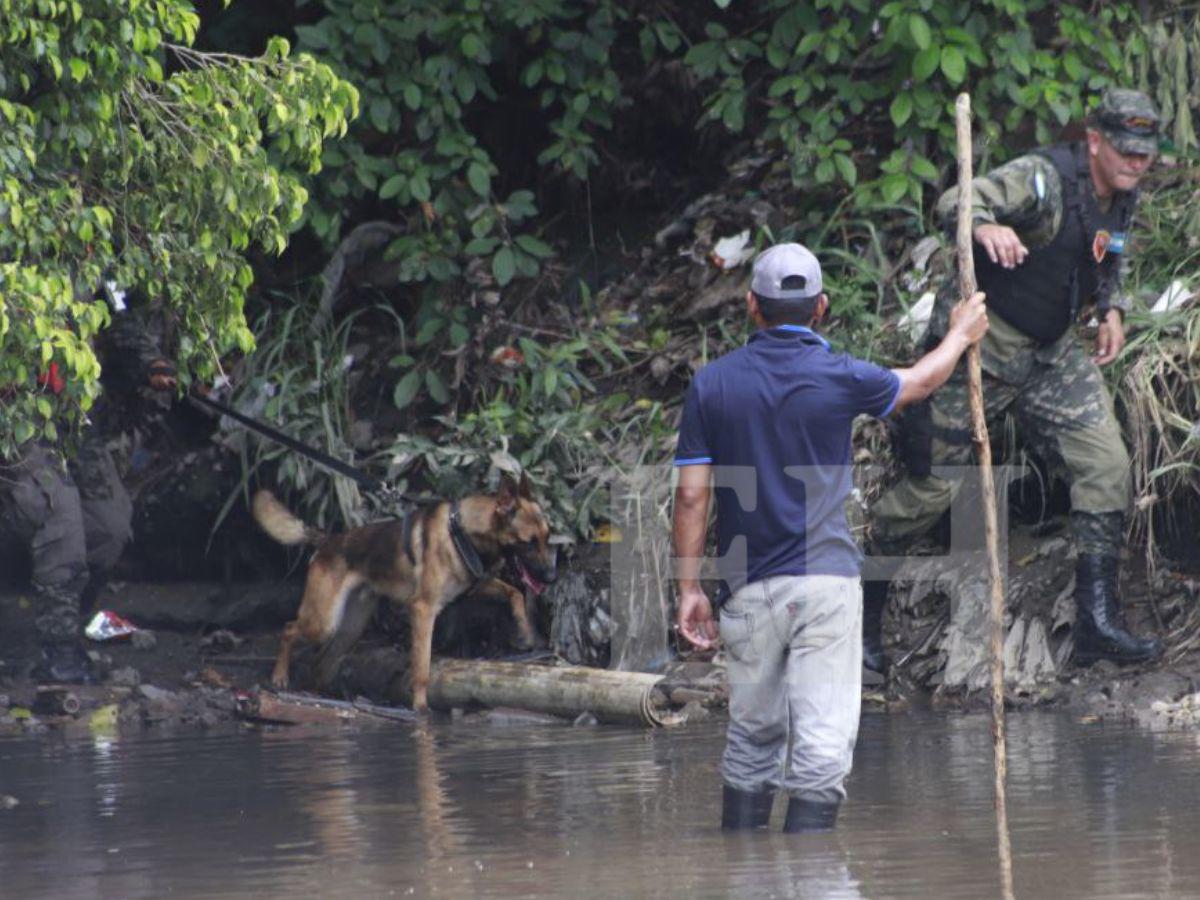 Entrenados para hallar a personas sin vida: dos caninos se suman a la búsqueda de Eliú Bautista