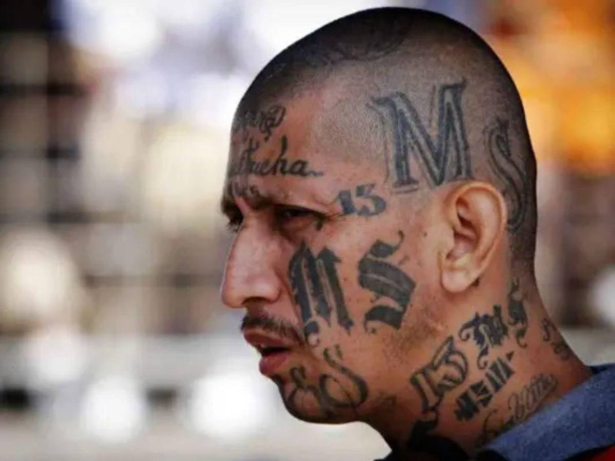CN busca aprobar que tatuajes de maras y pandillas sirvan de prueba en su contra