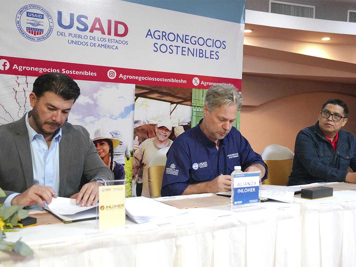 Caficultura sostenible: Inloher lidera con innovación y compromiso en Honduras