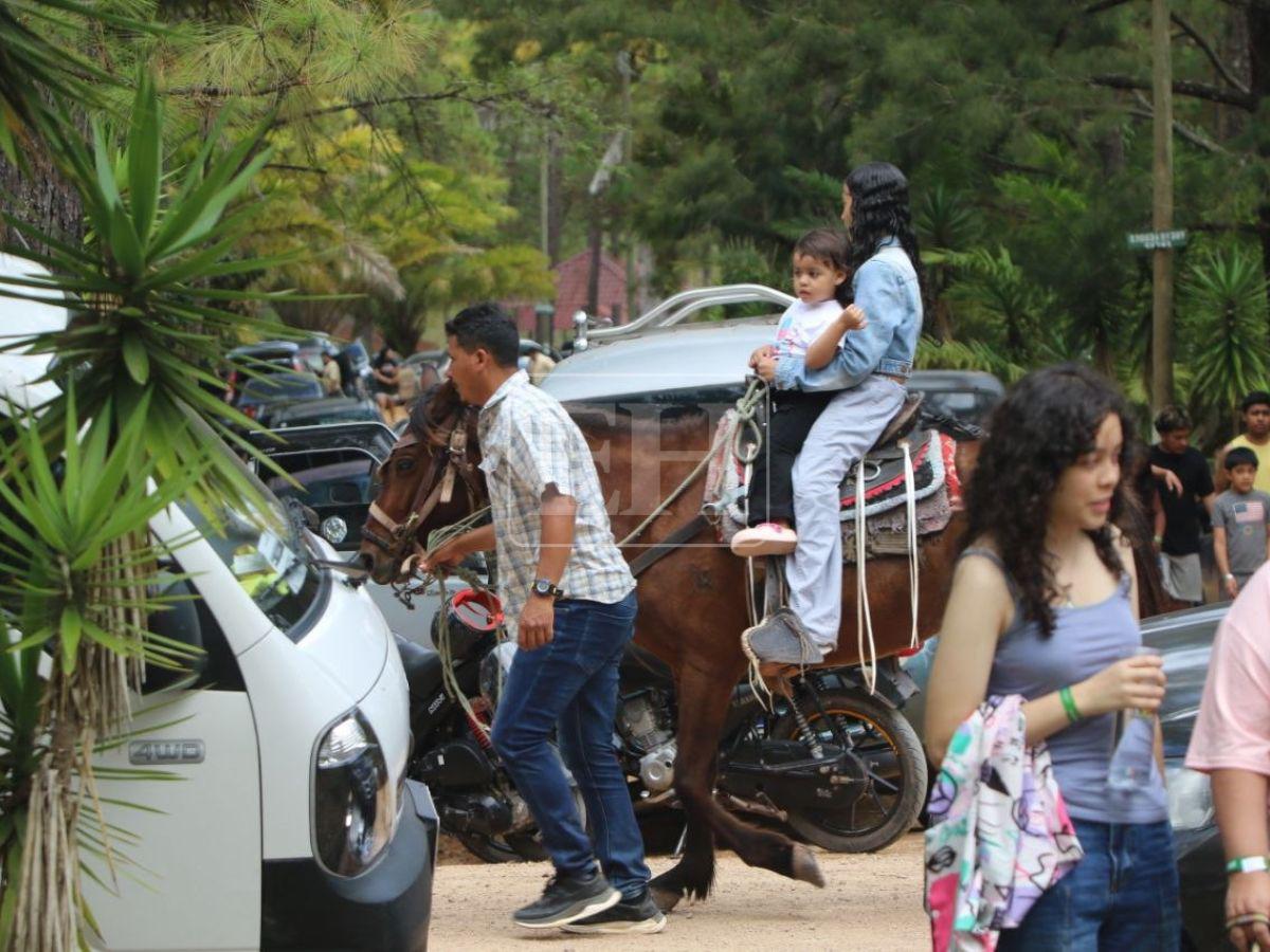 Reapertura a lo grande: actividades y diversión familiar en el Parque Obrero
