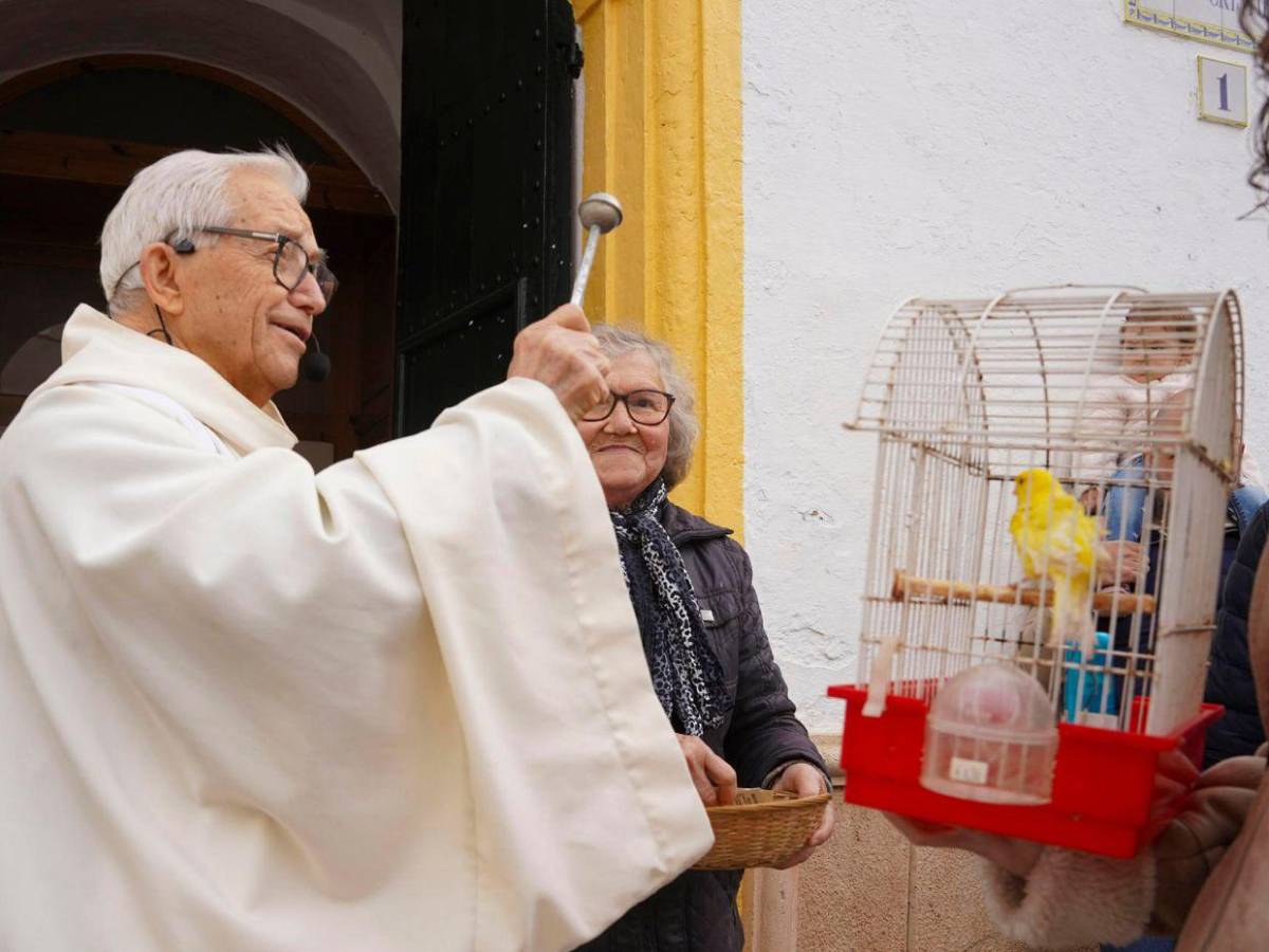 Entre patitas y bendiciones: la emotiva bendición de mascotas en San Antonio de Abad