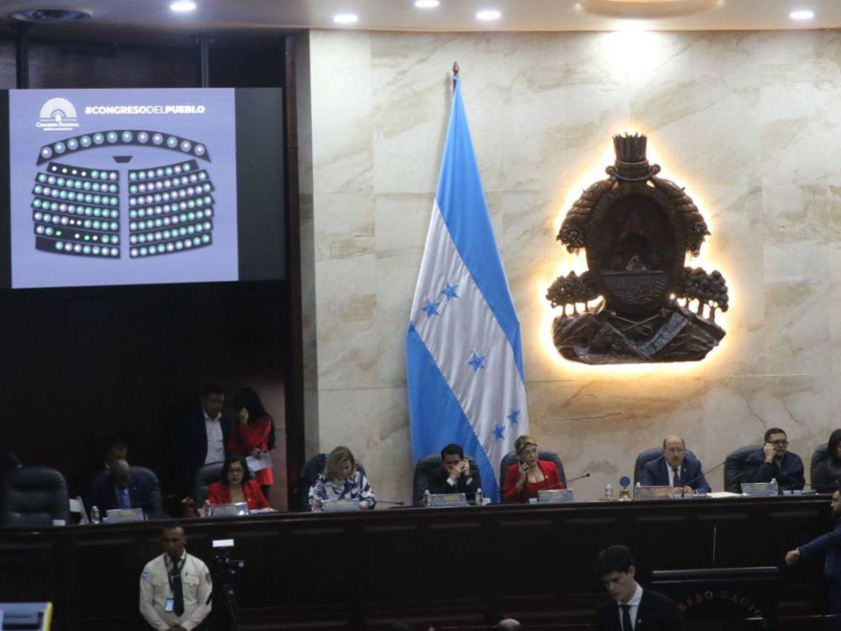 Mientras Redondo está en Marruecos, Congreso Nacional desarrolla sesión legislativa