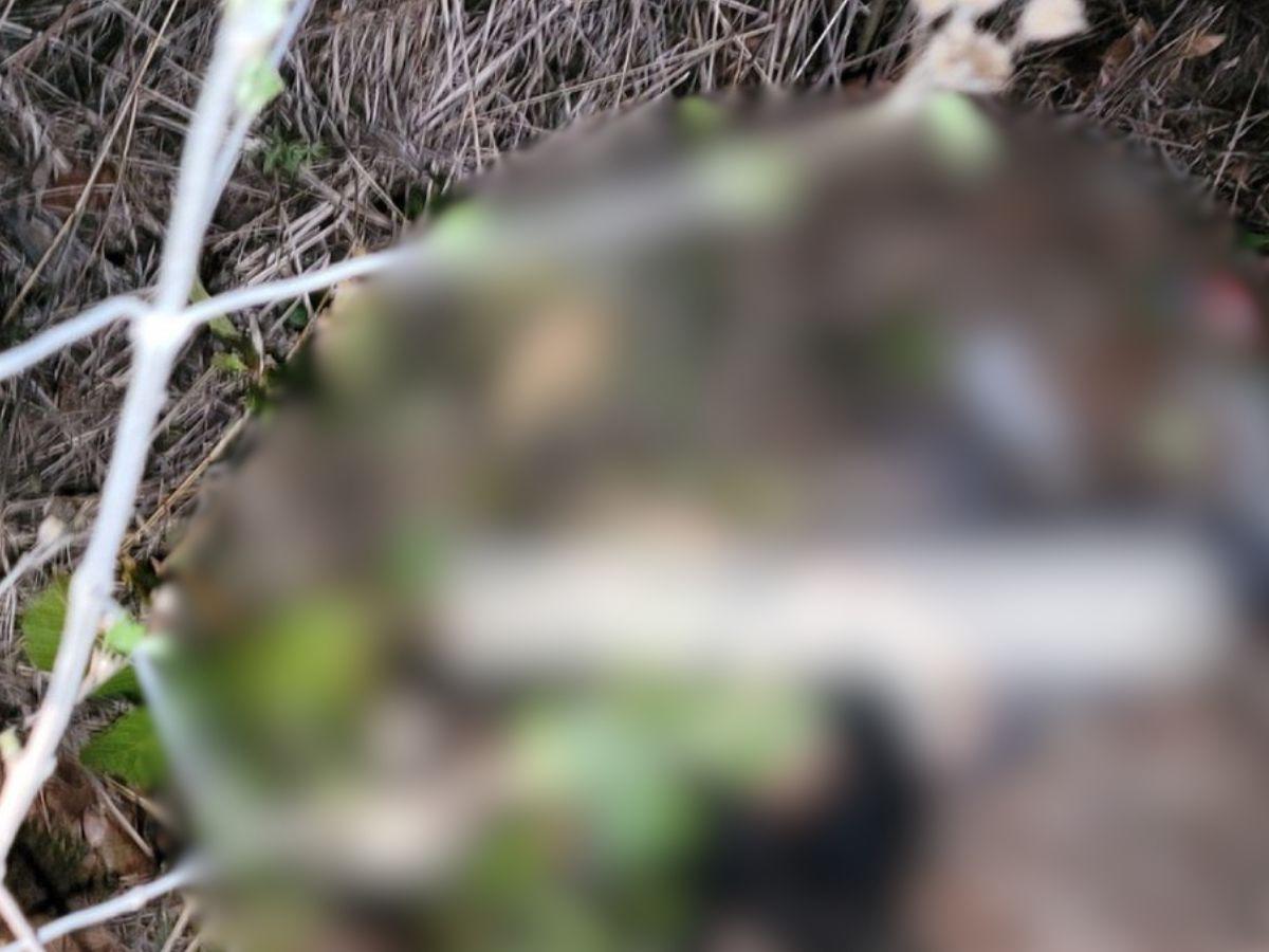 Sicarios los habrían raptado y luego asesinado: caso de Miguel y Gelvin en la Cerro Grande