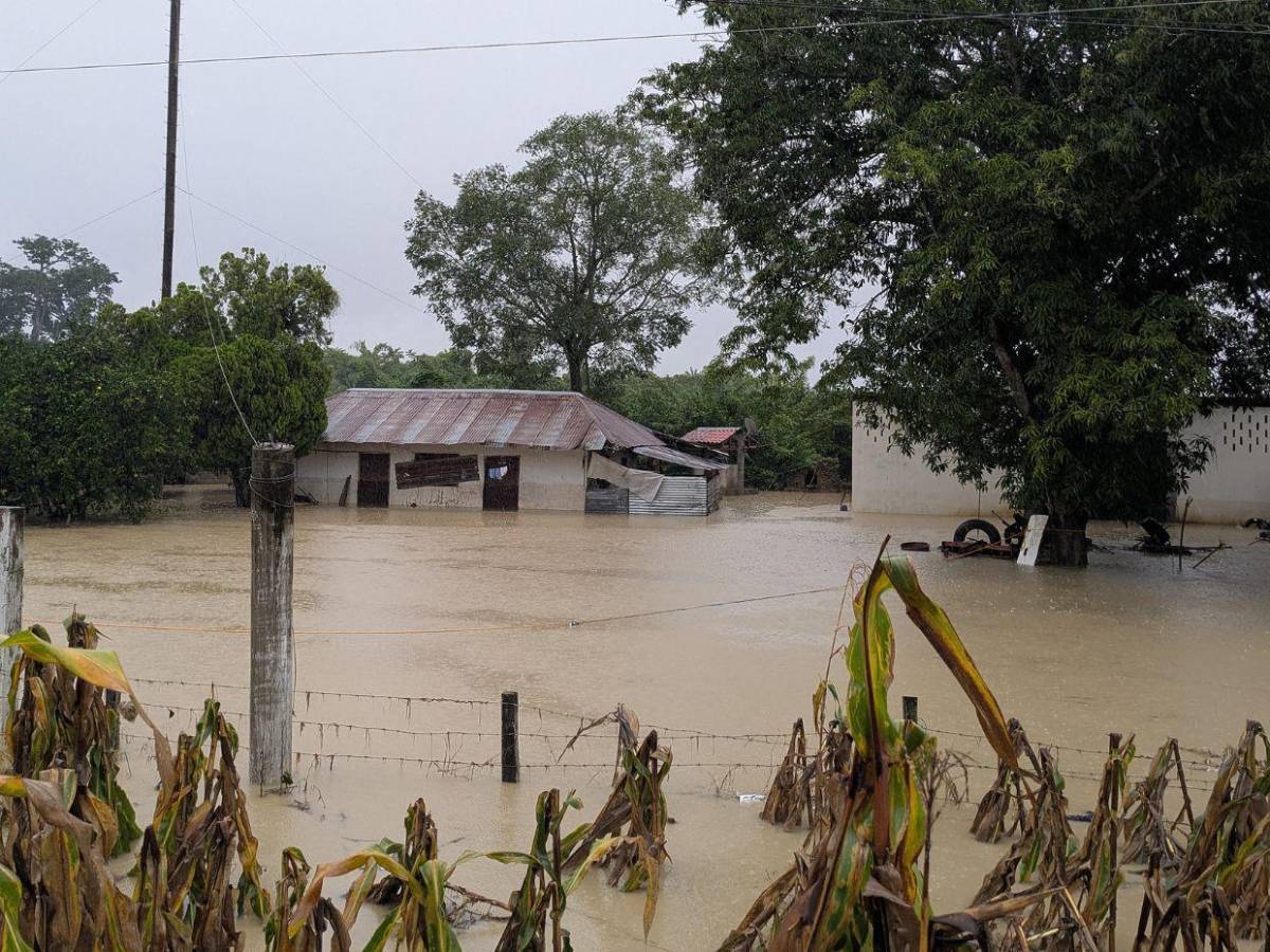 Lluvias dejan estragos en México: 64 muertos y 65 desaparecidos