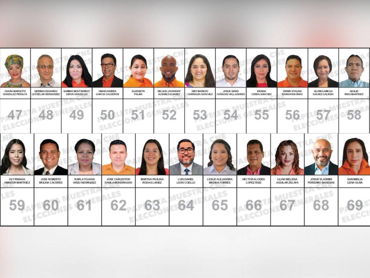 ¿Quiénes son los candidatos a diputados por el PINU-SD, de Nelson Ávila?