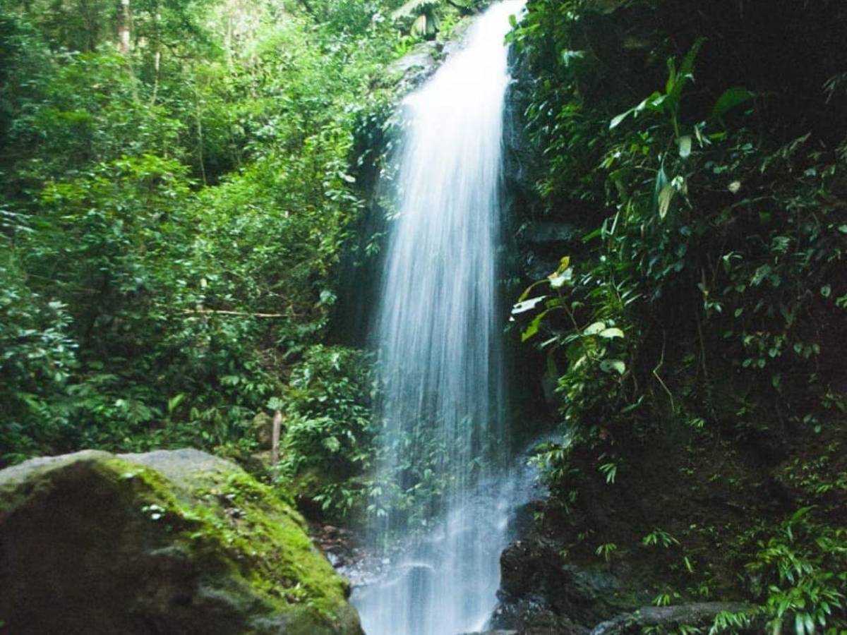 Ruta del oxígeno: parques nacionales de Honduras para visitar esta Semana Santa 2026