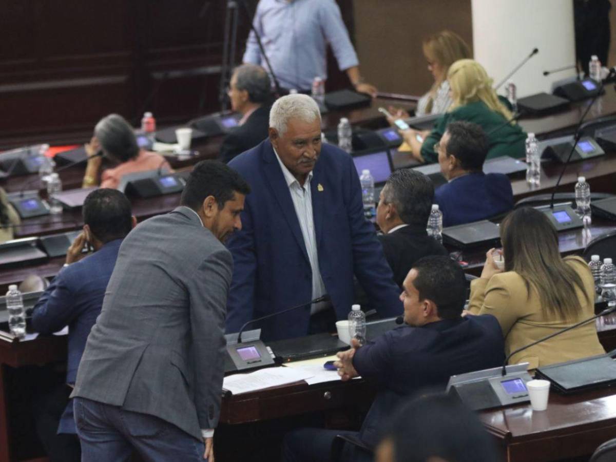 Mientras Redondo está en Marruecos, Congreso Nacional desarrolla sesión legislativa
