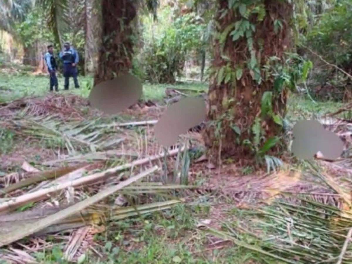 “Esa palma pareciera estar maldita”: relato de vecino tras brutal masacre en Colón