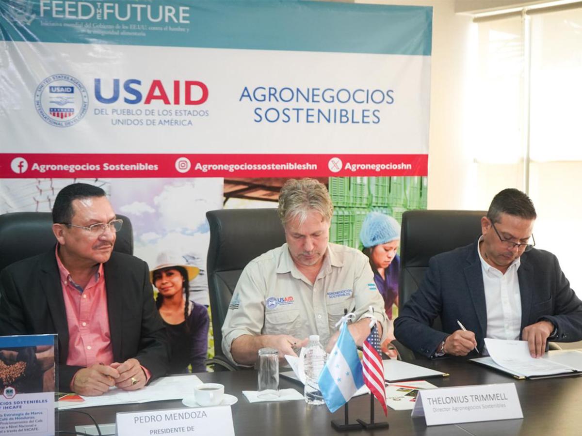 USAID a través de Agronegocios Sostenibles se une con el IHCAFE para promover el café