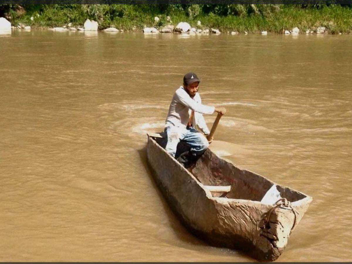 Animación y drama: Estos son los cortos para ver este sábado en el MIN