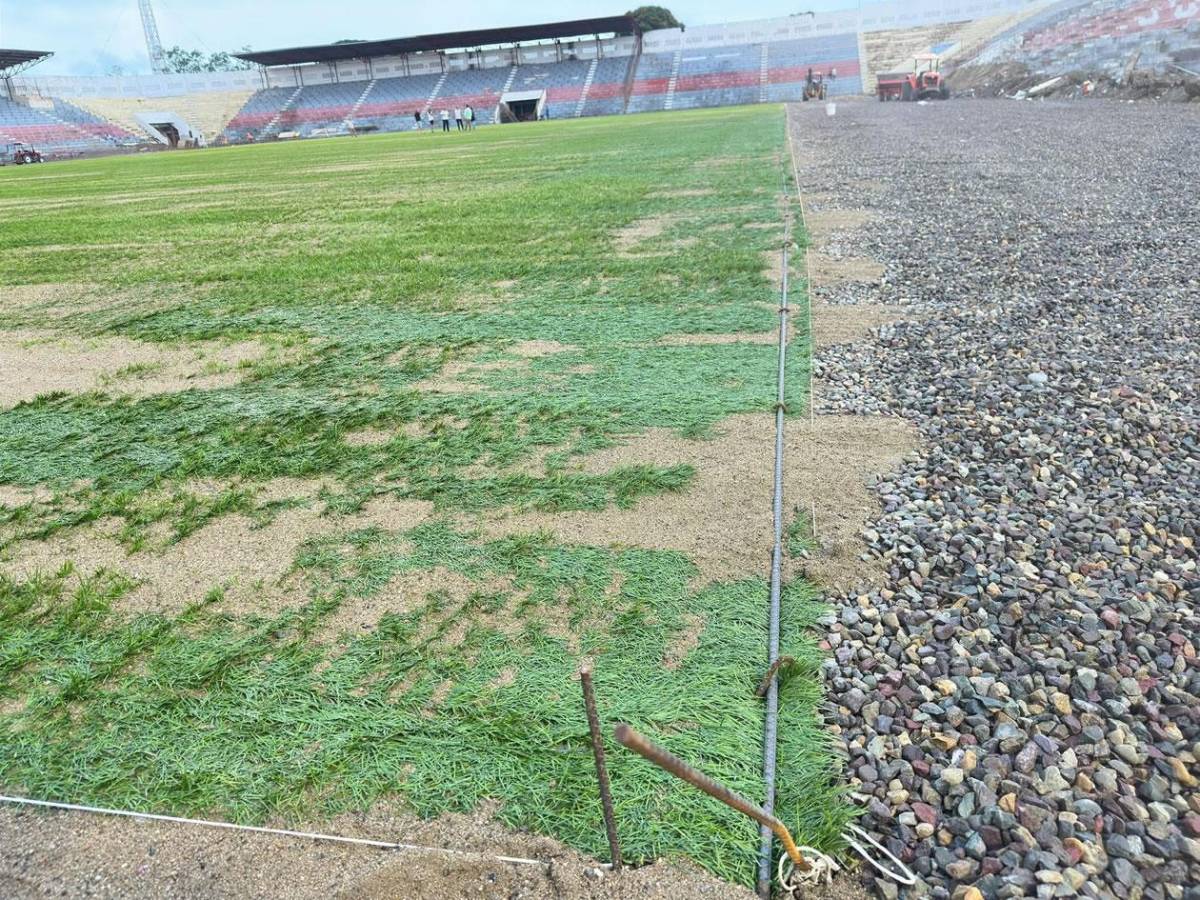 Así avanzan los trabajos de la nueva grama híbrida del estadio Ceibeño Así avanzan los trabajos de la nueva grama híbrida del estadio Ceibeño