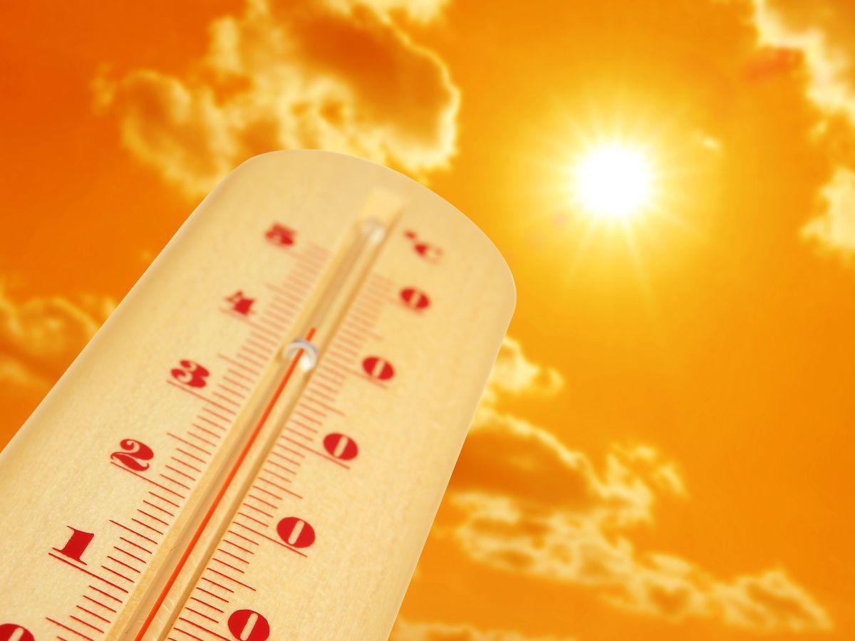 ¿Qué le pasa al cuerpo humano durante la asfixia por golpe de calor extremo?