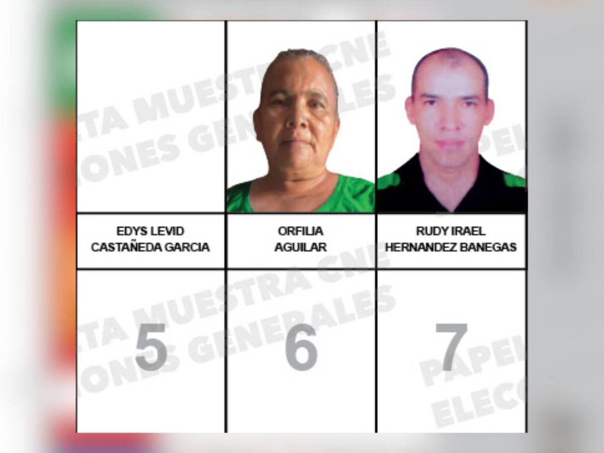 Uno estuvo en tres partidos: los candidatos a diputados por Comayagua