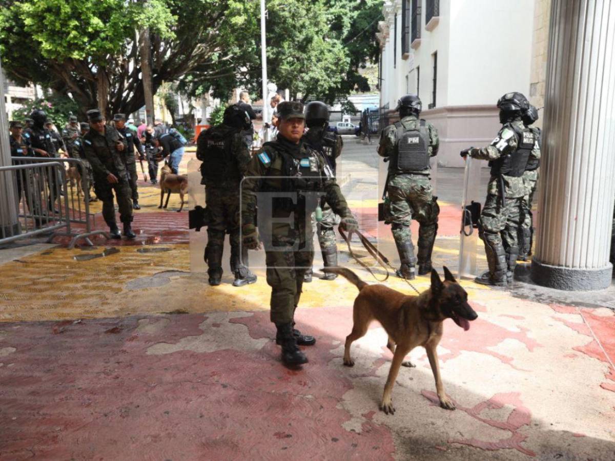 Binomios caninos forman parte del blindaje del Congreso Nacional