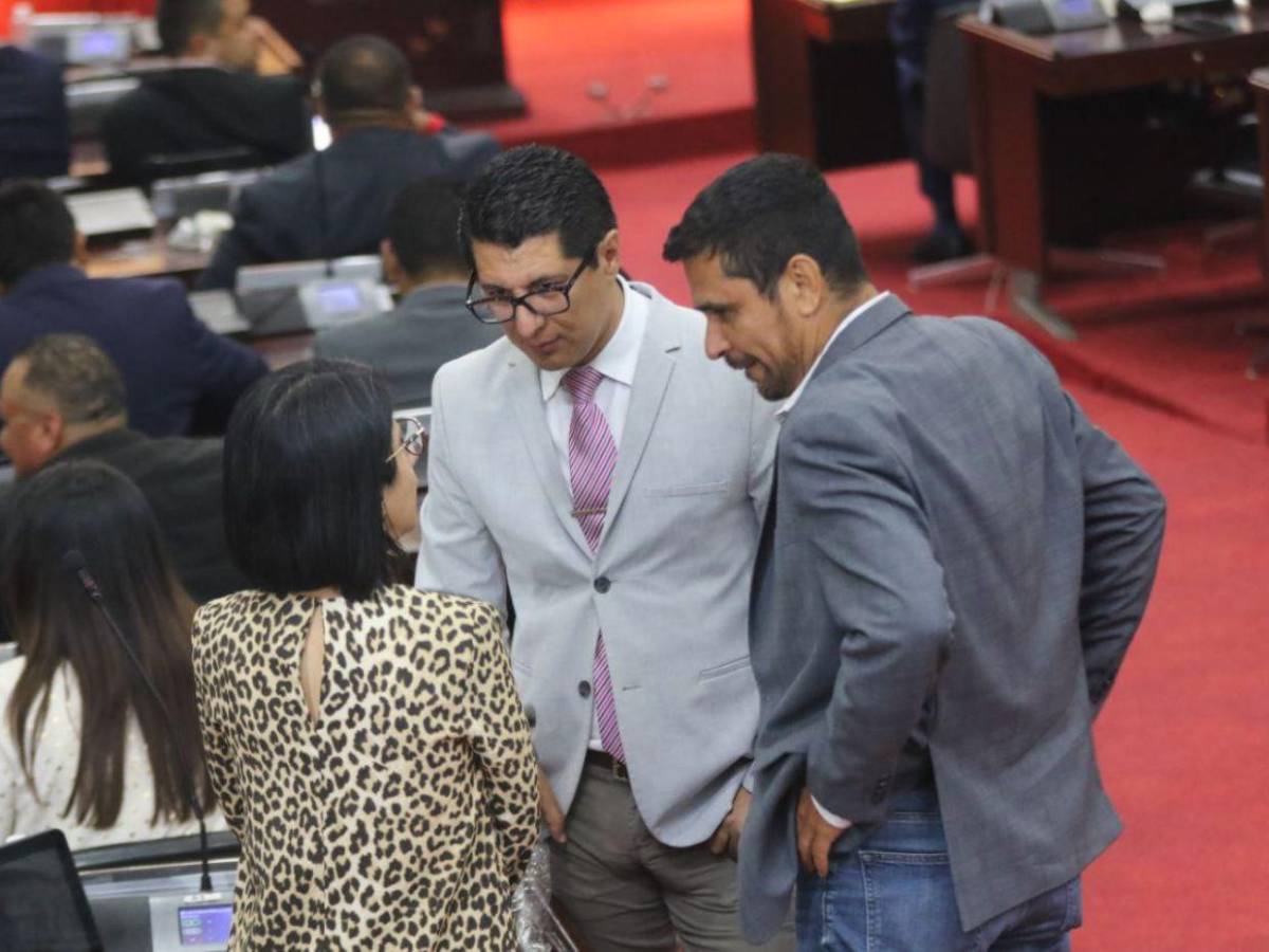 Mientras Redondo está en Marruecos, Congreso Nacional desarrolla sesión legislativa