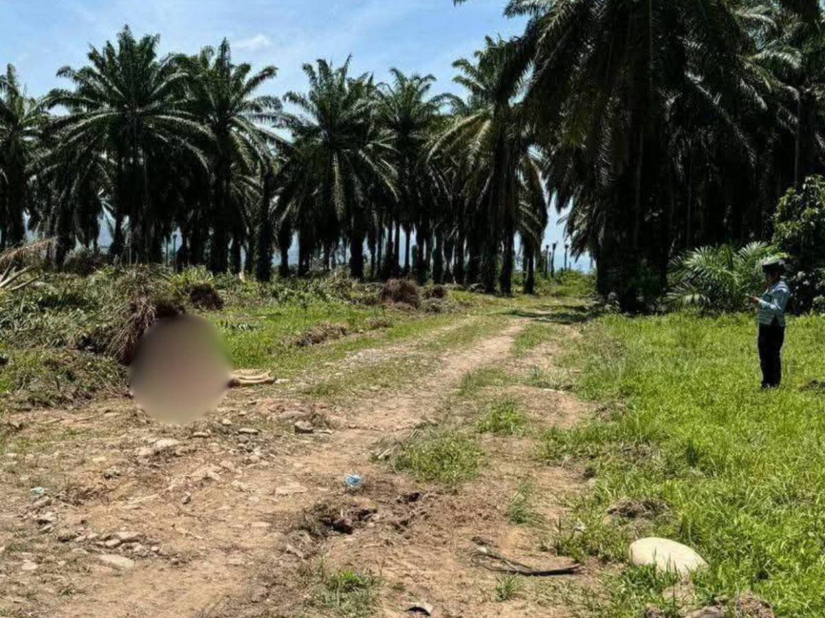 Me pusieron un fusil y les pedí que me perdonaran la vida: sobreviviente de masacre en Colón