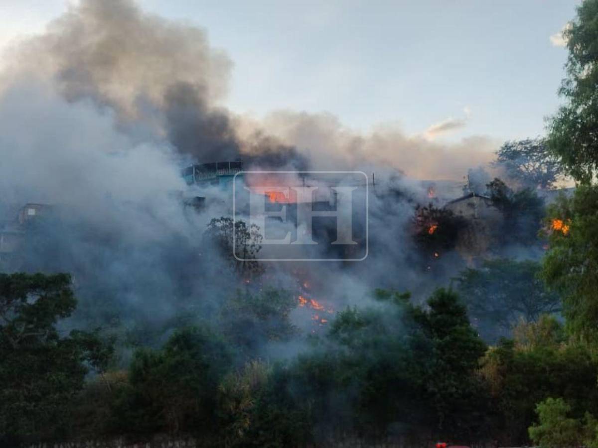 Familias desesperadas: Así fue el pavoroso incendio que afectó varias viviendas en La Rivera de La Vega