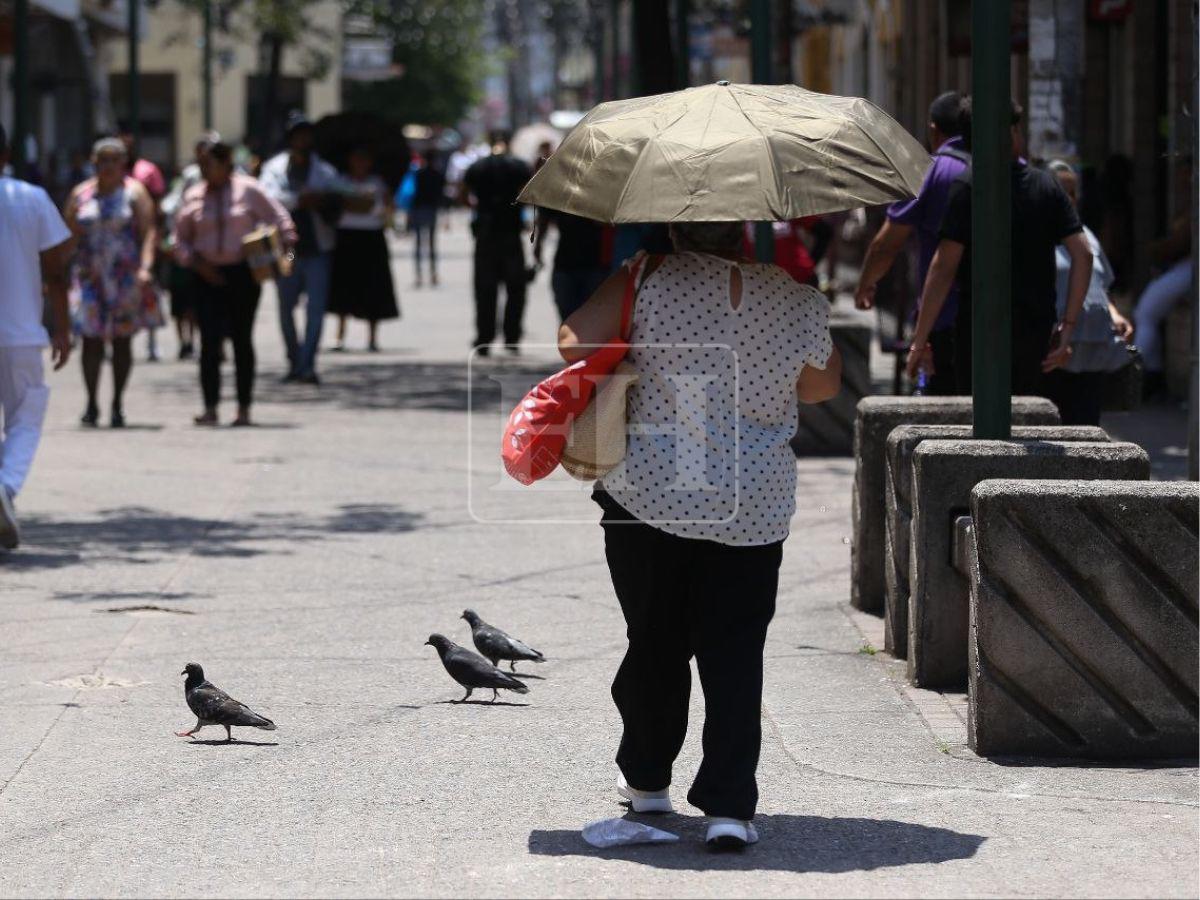 Altas temperaturas azotan Honduras: ¿en qué departamentos hará más calor?