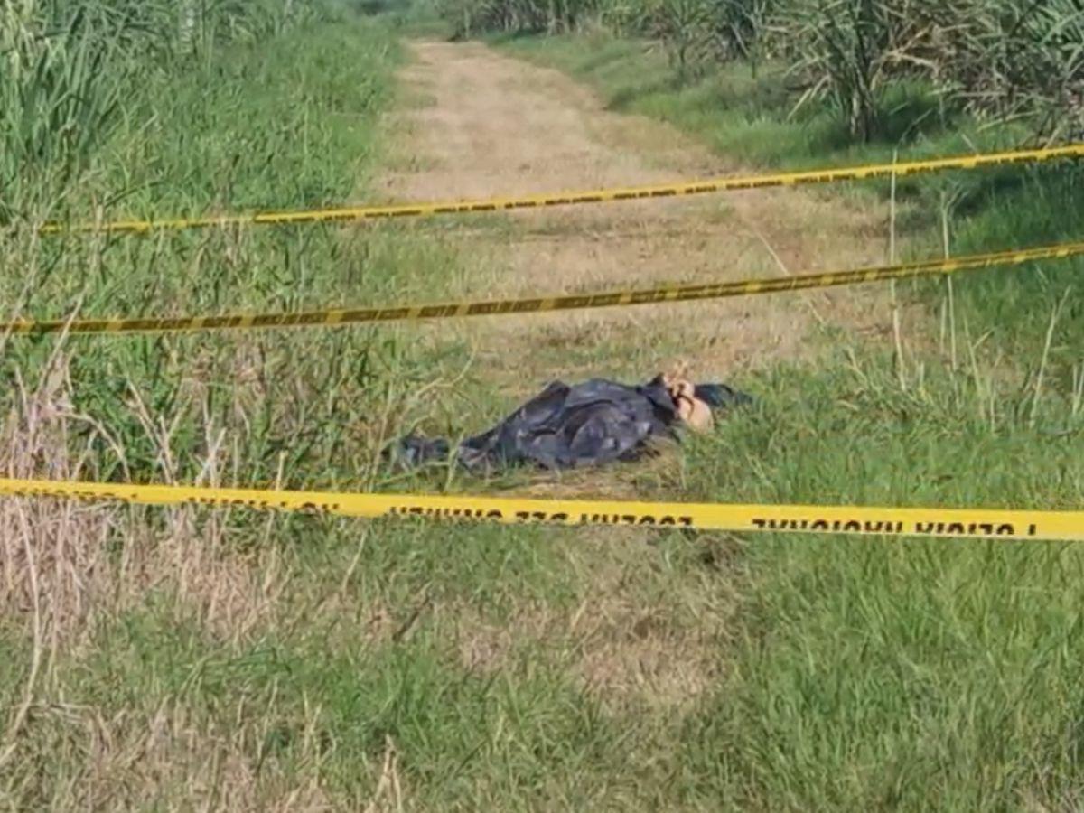 Los dejaron con las manos amarradas y boca abajo: hallan a dos personas muertas en Cortés