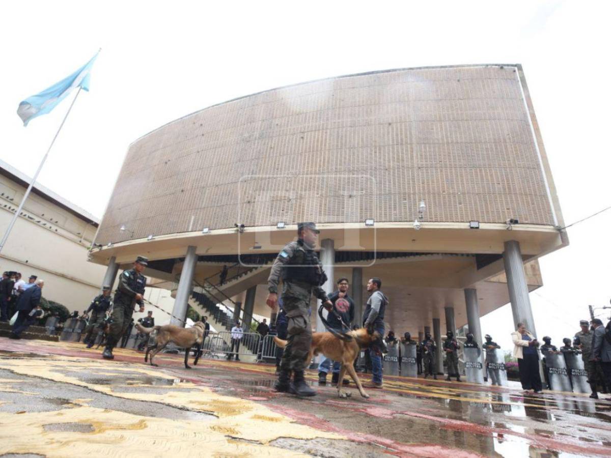 Binomios caninos forman parte del blindaje del Congreso Nacional