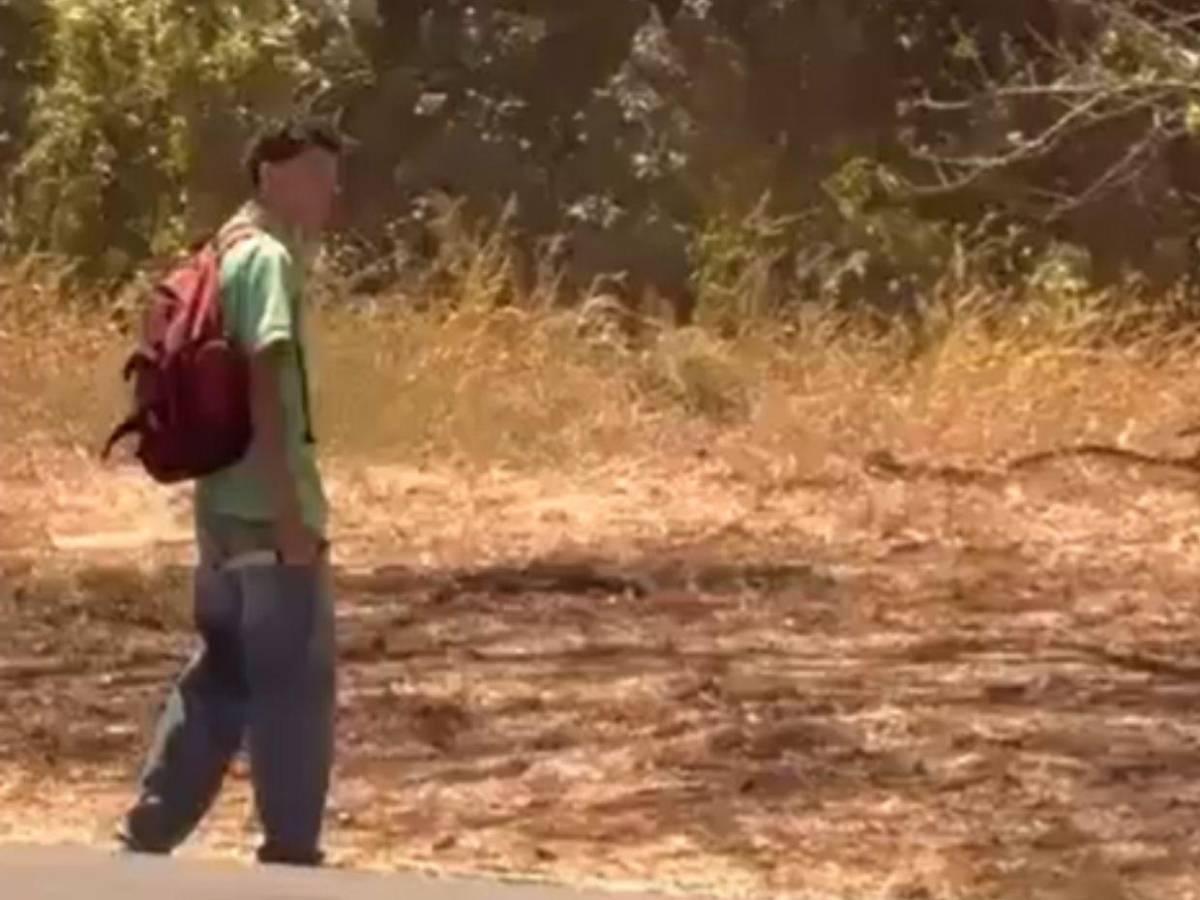 Cuadro a cuadro: así fue asesinado un estudiante por presunto amigo en Costa Rica