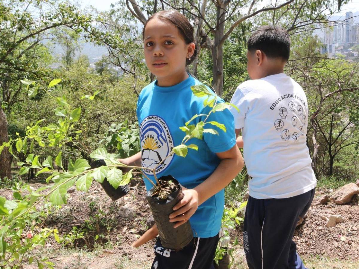 Color, cultura y reforestación: Así cierran los héroes ecológicos la Semana 9