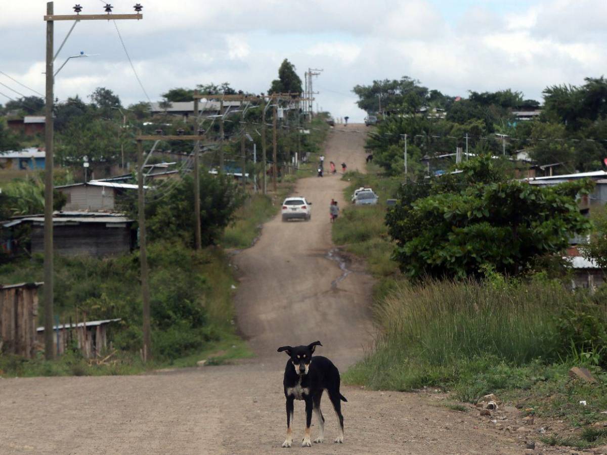 Así se encuentra hoy la carretera donde se prometió el libramiento al sur