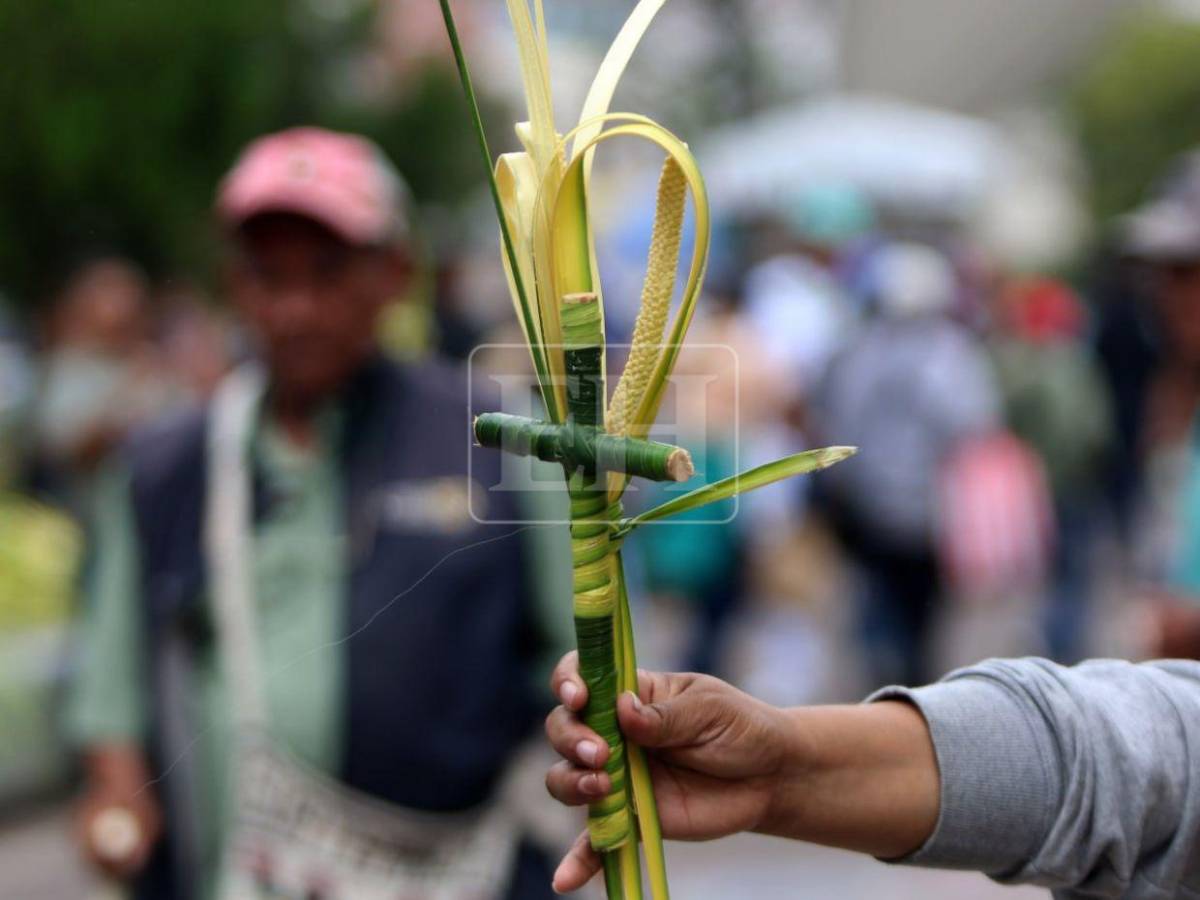 Tegucigalpa se viste de fe: inicia venta de ramos y cruces de palma en la capital