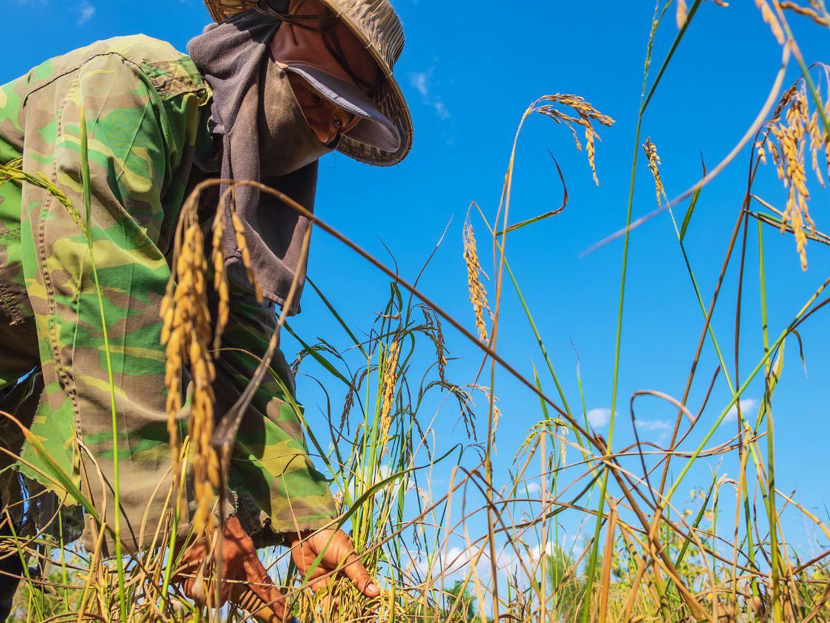 ¿Cuáles son las nuevas regulaciones laborales en el estado de la Florida?