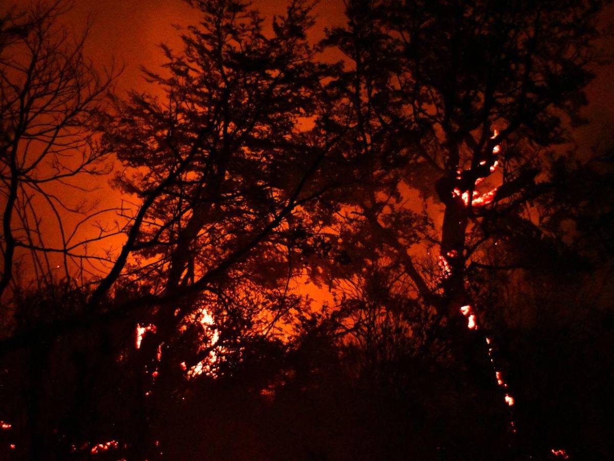 Imágenes de la Patagonia: el fuego arrasa 45,000 hectáreas y amenaza residencias