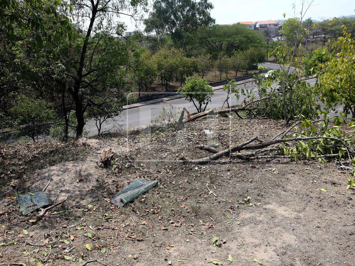 Arrancó árboles antes de volar al vacío: así quedó escena del accidente en Altos de Toncontín