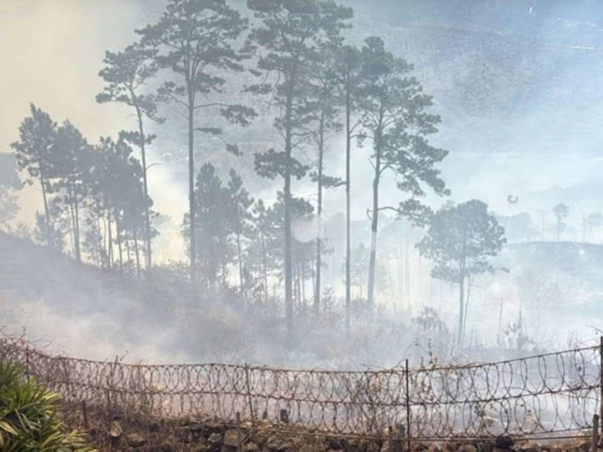 Voraz incendio en El Hatillo y zonas aledañas amenaza el pulmón de la capital