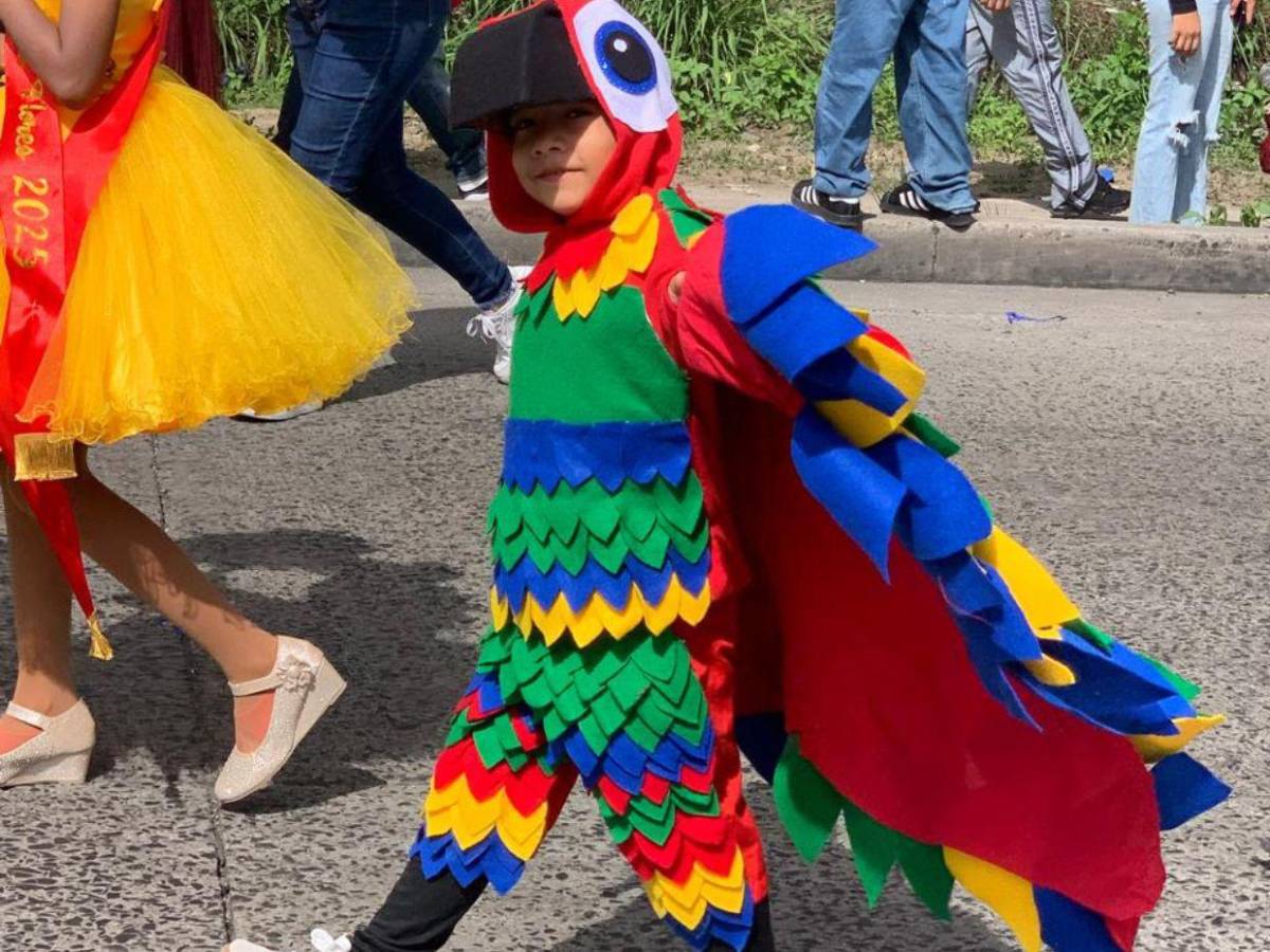 Alegría y amor patrio: lectores de EL HERALDO comparten fotografías de desfiles