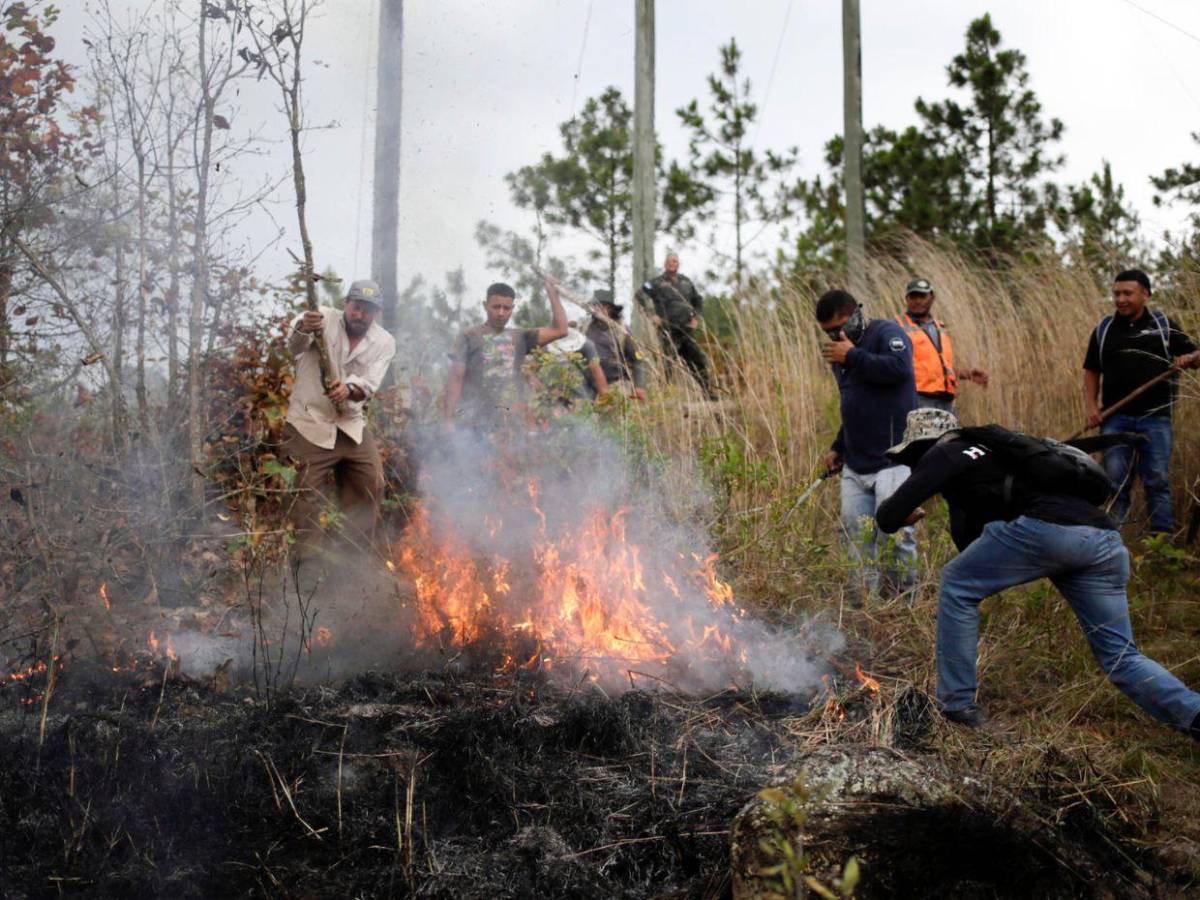 FF AA combaten nueve incendios forestales durante el fin de semana