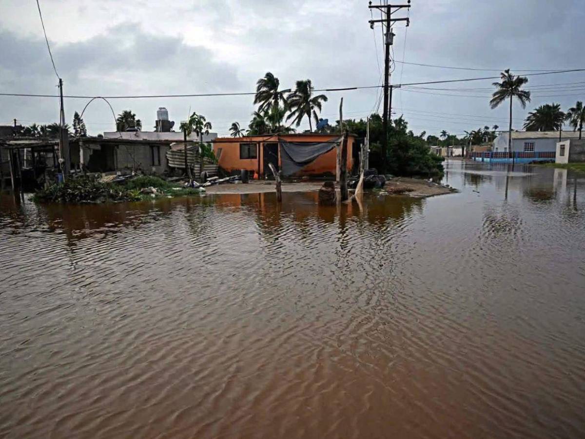 Inundaciones y caída de árboles: huracán Polo deja daños en México tras tocar tierra por segunda vez