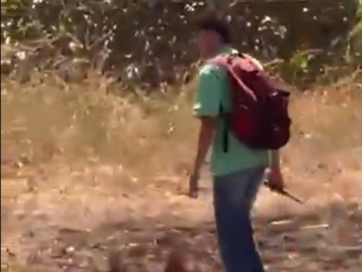 Cuadro a cuadro: así fue asesinado un estudiante por presunto amigo en Costa Rica