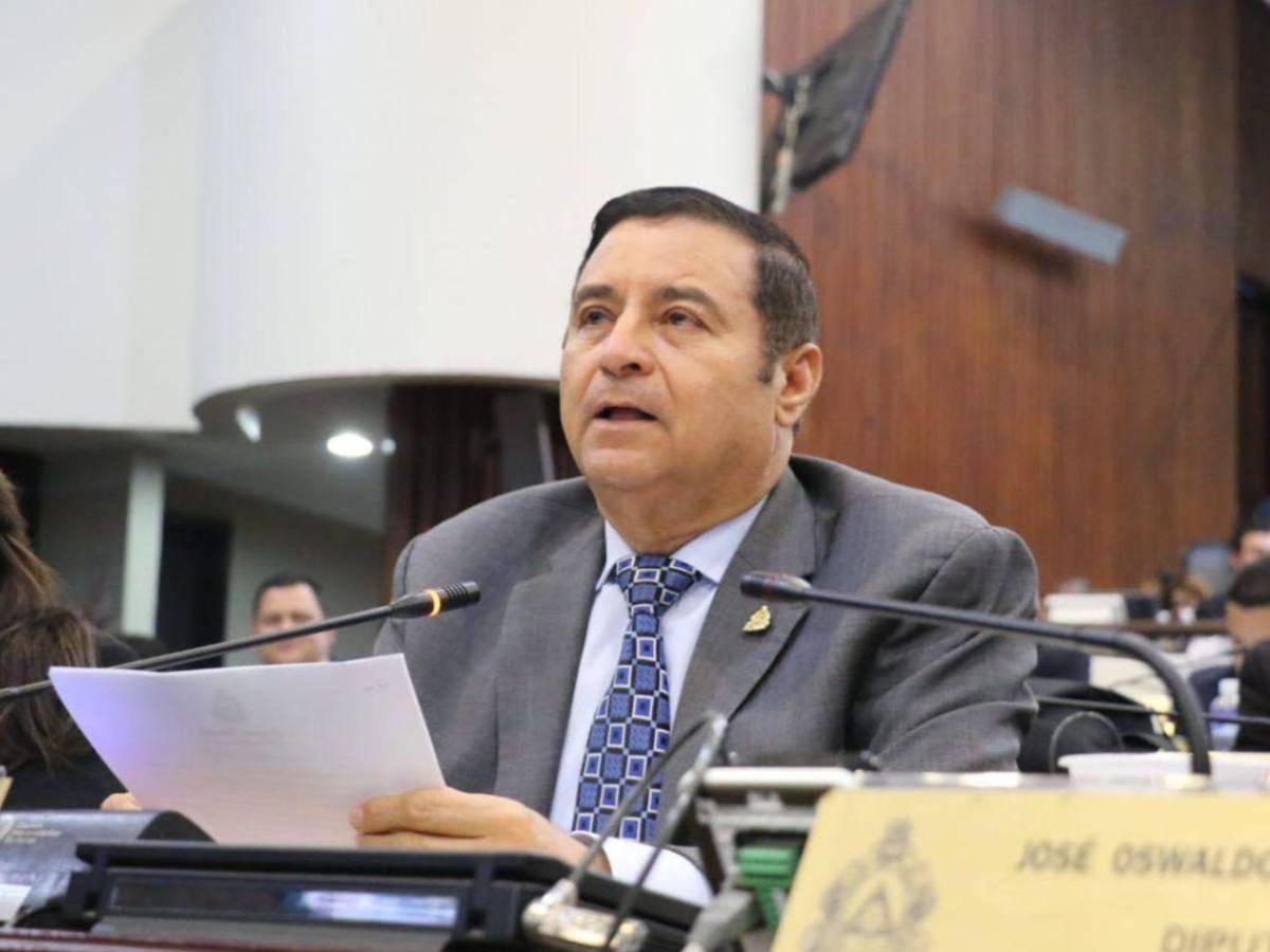 Diputados con más de una década en el Congreso Nacional que buscan reelegirse