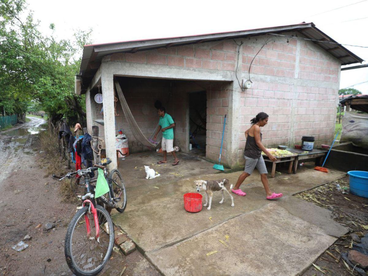 Los pobladores en la zona mencionaron que la producción del maíz se encuentra en peligro.
