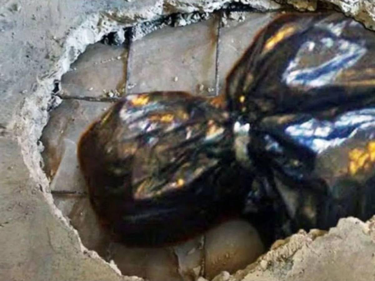 La Baronesa del Hielo: ¿Quién es Estíbaliz Carranza, la joven que mató a dos hombres y los escondió en su heladería?