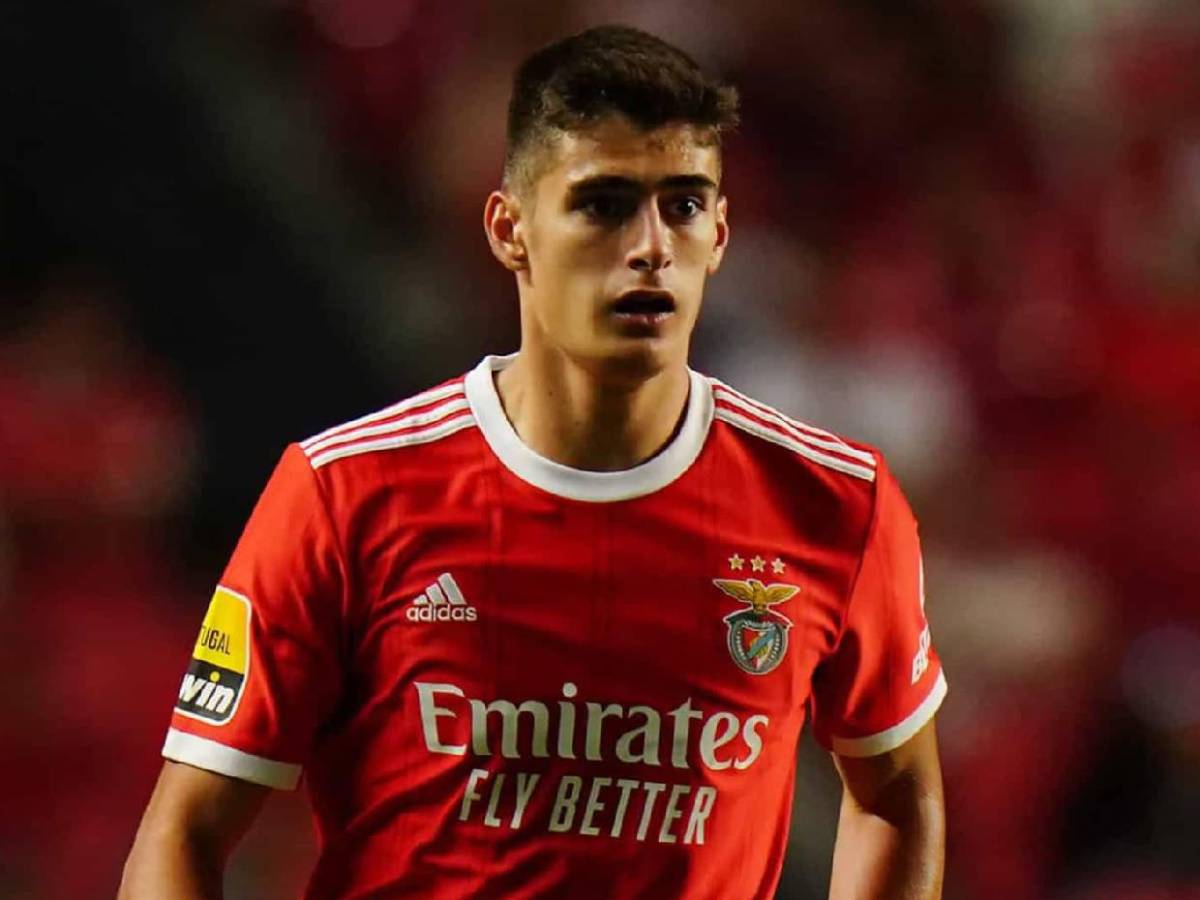 Fichajes: Real Madrid cierra nueva alta, Barcelona por Julián Álvarez y campeón del Mundo se ofrece