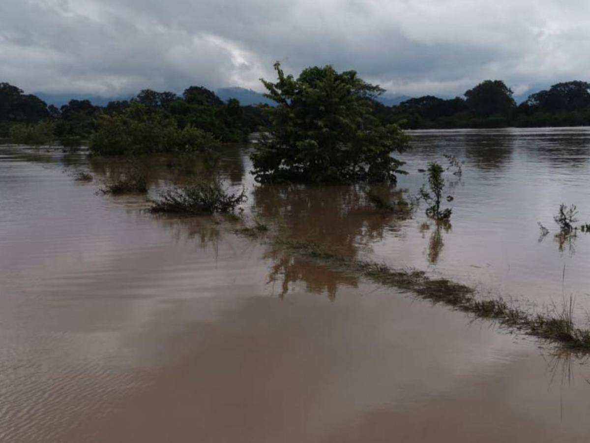 Piden evacuación inmediata a los pobladores de la ribera del río Guayape en Olancho