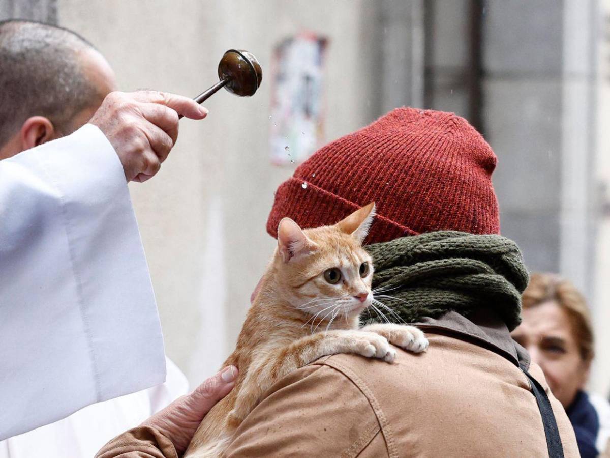 Entre patitas y bendiciones: la emotiva bendición de mascotas en San Antonio de Abad