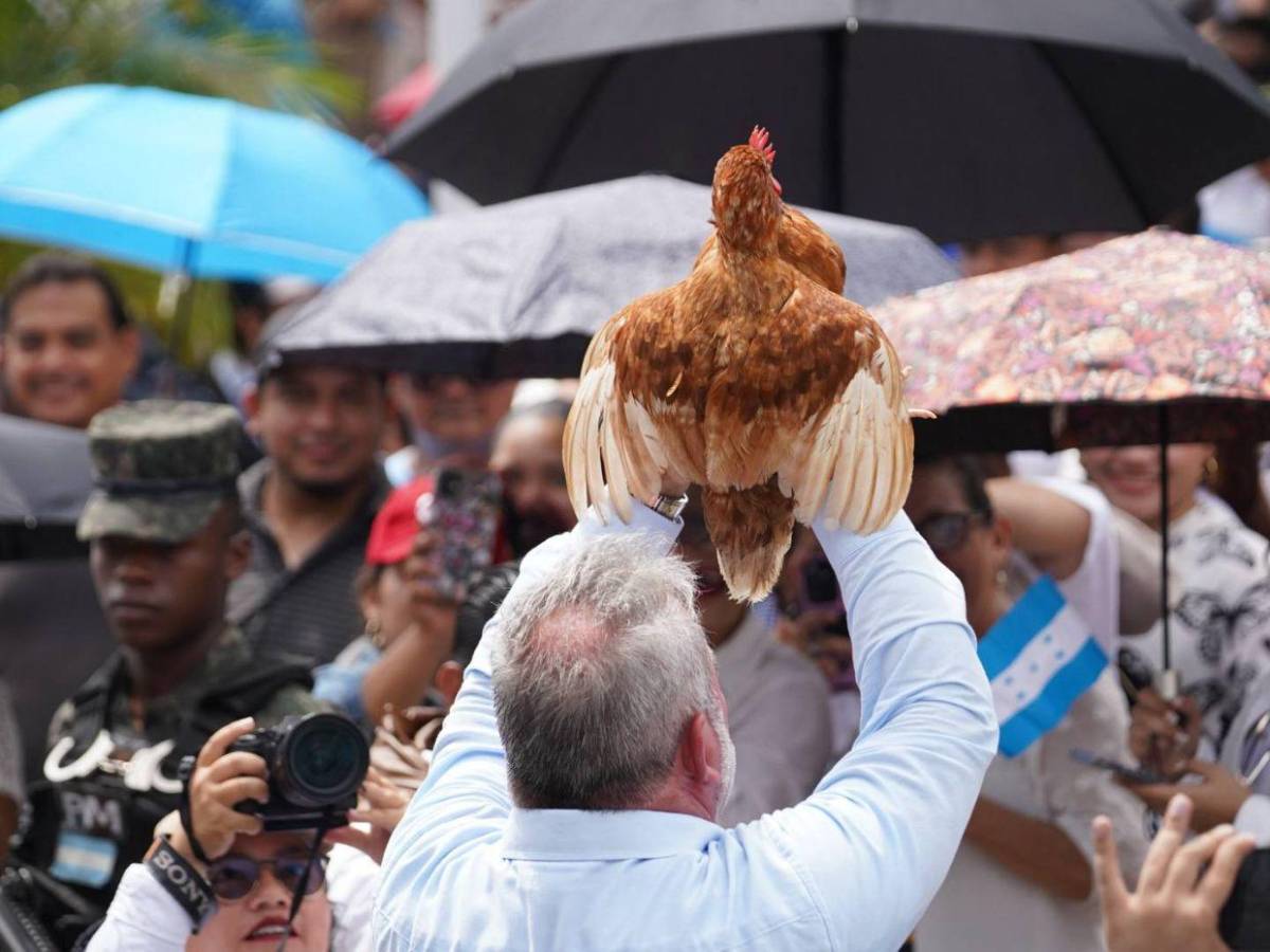Entre bailes y un pollo en manos: Roberto Contreras se suma a los desfiles patrios en SPS