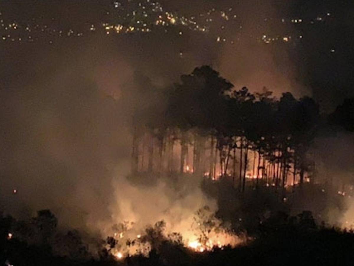 Voraz incendio en El Hatillo y zonas aledañas amenaza el pulmón de la capital