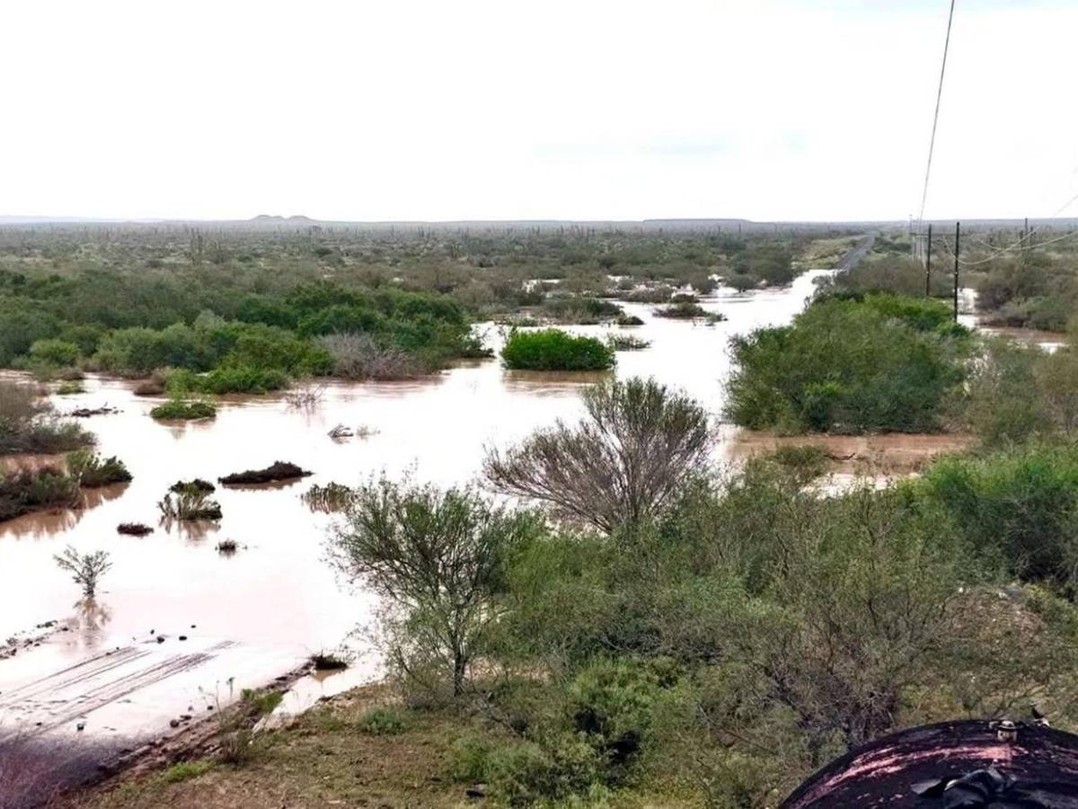 Inundaciones y caída de árboles: huracán Polo deja daños en México tras tocar tierra por segunda vez